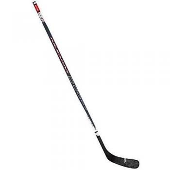 Nijdam Unisex Ice Hockey Stick, Anthracite/Silver/Red/White, Size 1
