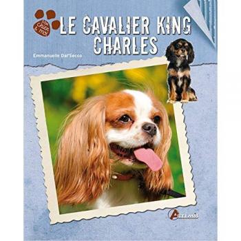 Le cavalier king charles