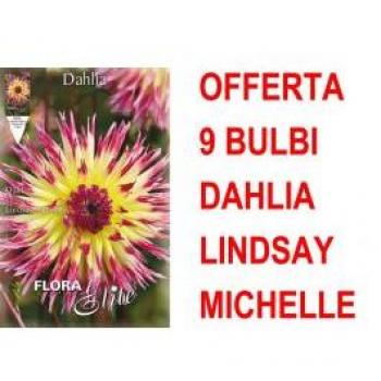 Offerta Speciale: 9 Bulbi Dahlia Cactus Lindsay Michelle