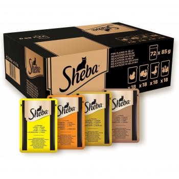 Katzennassfutter Delikatesse in Gelee, 72x85g Großpackung