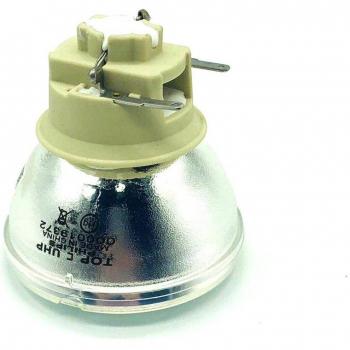 Viewsonic RLC-109 Projector Lamp Replacement