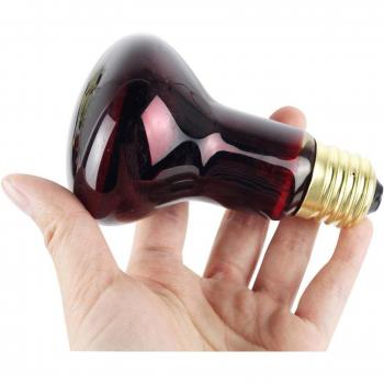 Luz de Calentamiento 30 W Reptiles
