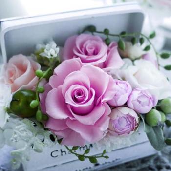 Magni Rosen‑Papierserviette – 20×33 cm, 3‑lagig, 20 Stück