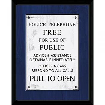 TARDIS Signature Print – Wood Frame (30x40)