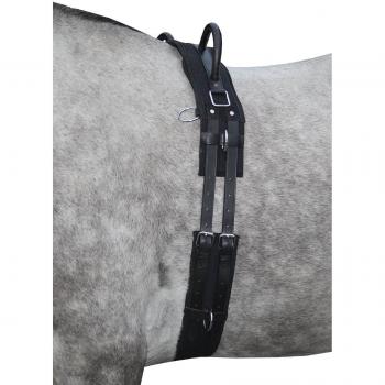 Canvas Lunge Roller by HKM – Black Pony Style