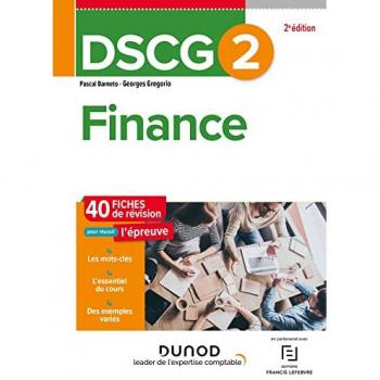 Fiches de révision DSCG 2 Finance