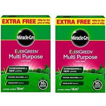MG Evergreen Lawn Seed 480g