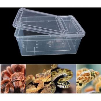 Reptile Transport Box with Bowl