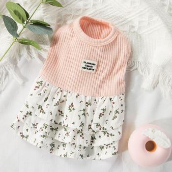 Verano Teddy Ropa de Mascota