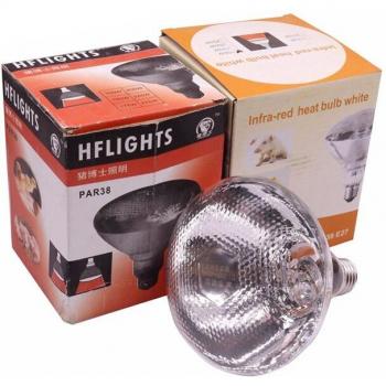 Reptile Heat Lamp 250W