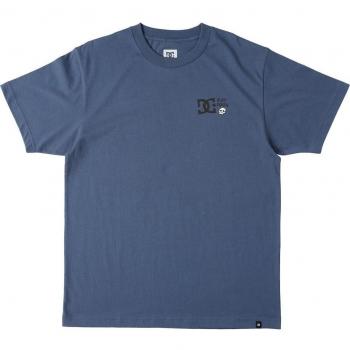 Camiseta DC Shoes Hombre Cactus