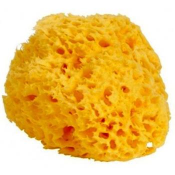 Premium Large Natural Sponge