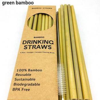 Juego de 12 Pijas Bambú Verde Reutilizable