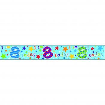 Multi‑Color 8th Birthday Party Banner (Boy/Girl, 2.5m Split)
