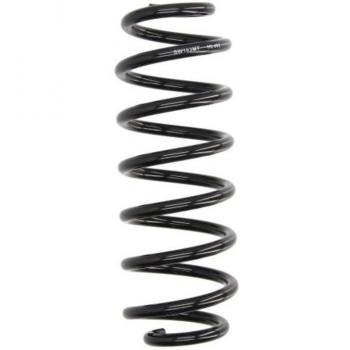 Mola Magnum Technology SW163MT