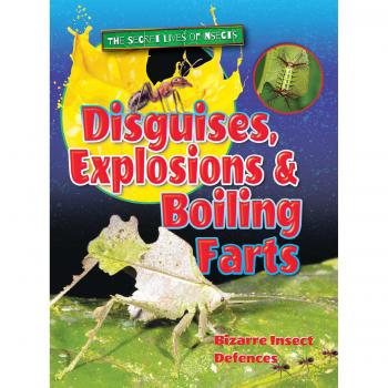 Disguises Explosions and Boiling Farts by Ruth Owen