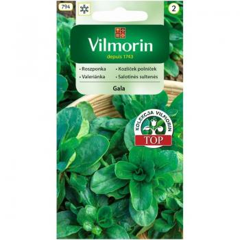 0,5 g Feldsalat Gala‑Samen von VILMORIN