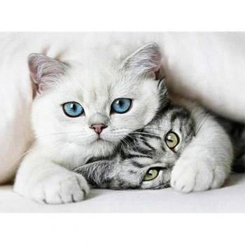 5D DIY Diamant Kunst Katze