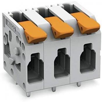 WAGO 2604-1302 4mm² Terminal Block 2 Pins