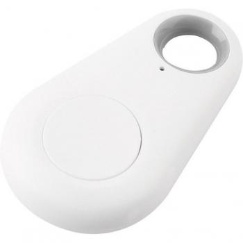 Two-Way Alarm Anti-Theft Device