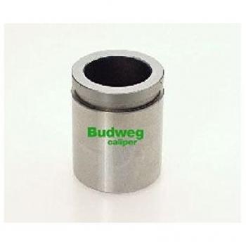 Triscan 8170 Piston & Caliper für HYUNDAI Hinterachse (233843)