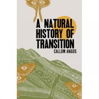 A Natural History of Transition
