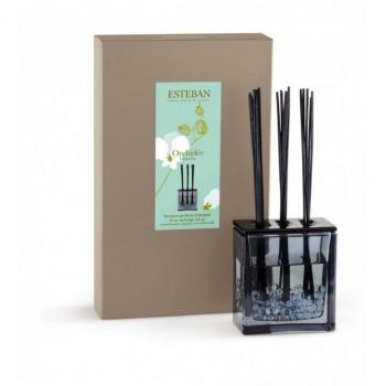 Esteban Orchidée Blanche Profuma Ambienti