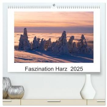 Faszination Harz 2025 (hochwertiger Premium Wandkalender 2025 DIN A2 quer) Kunstdruck in Hochglanz