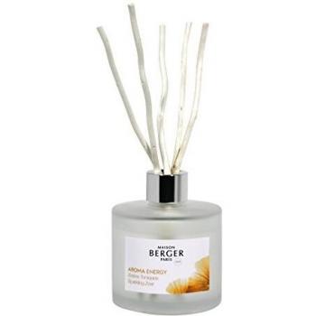 Lampe Berger Aroma Energy Scented Bouquet