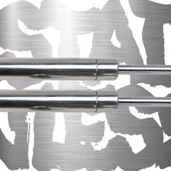Lexus RX350 2007 Bonnet Gas Struts