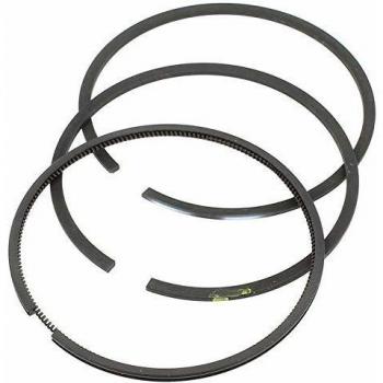 Segment de carburant Briggs & Stratton 290290