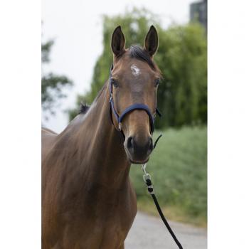 NORTON 'Satine' Bleu Profond (Cob)