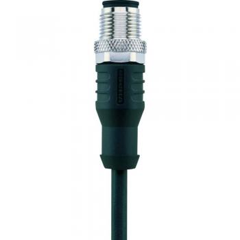 Câble M12 8 pôles Escha pour actionneurs