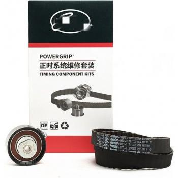 Timing Belt and Pulley Kit for Ford Ecosport 1.5