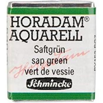 Schmincke Aquarelle 530 Sap Green 14 530 044