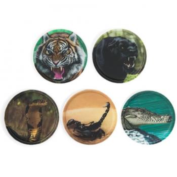 Ergobag Klettbilder – Wilde Tiere 5‑teilig