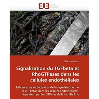 Signalisation du TGFbeta et RhoGTPases dans les cellules endothéliales: Mécanismes moléculaires de la signalisation par le TGFbeta1 dans les cellules ... GTPases de la famille Rho