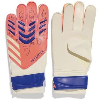 Gants d'entraînement gardien adidas Predator Pro