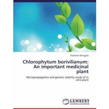 Chlorophytum borivilianum: An important medicinal plant: Micropropagation and genetic stability study of in vitro plant