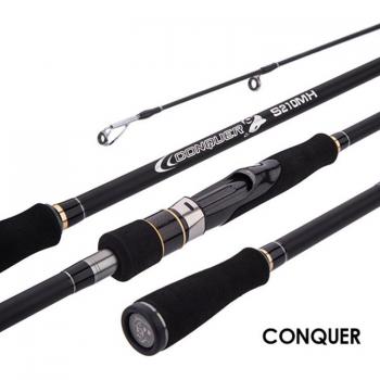 Canne de voyage BIGBIGWORLD 24T carbone