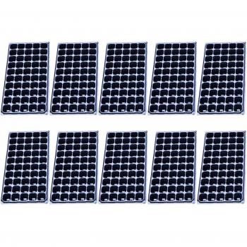 Propagation Seedling Starter Box