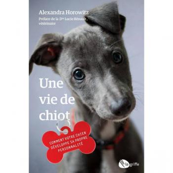 Une vie de chiot : Comment votre chien développe sa propre personnalité