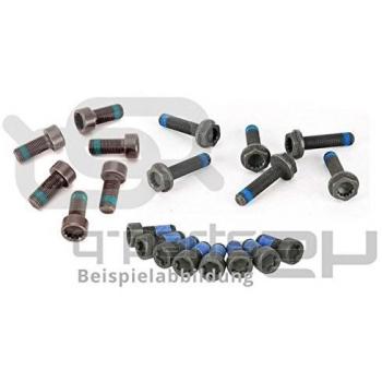 Volano LuK Vite Set, 411 0228 10