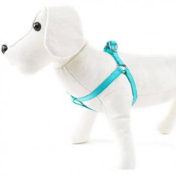 Nayeco Arnés para Perros Basic Aguamarina