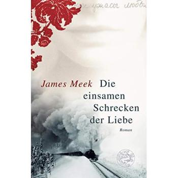 Die einsamen Schrecken der Liebe: Roman