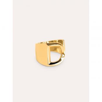 Anillo Singularu