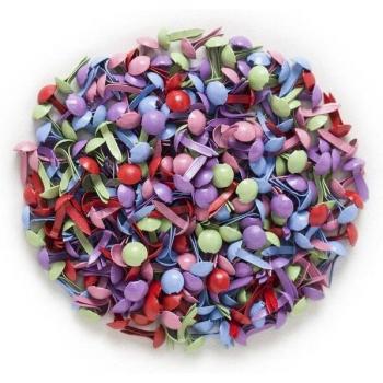 500 Clavos de Scrapbooking