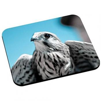 Prédateur d’Oiseau – Tapis Souris