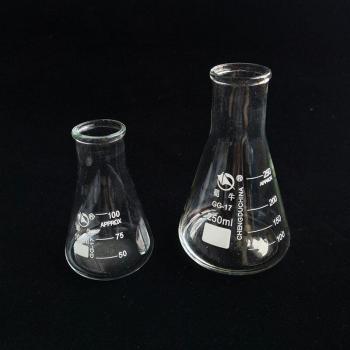 Precision Borosilicate Erlenmeyer Flask