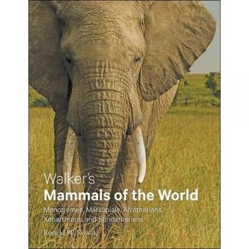 Walker's Mammals of the World : Monotremes, Marsupials, Afrotherians, Xenarthrans, and Sundatherians